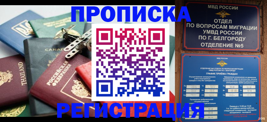 временная регистрация недорого в Краснодаре